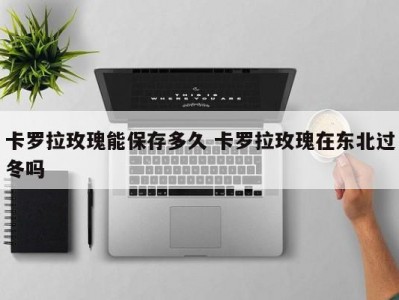 卡罗拉玫瑰能保存多久 卡罗拉玫瑰在东北过冬吗