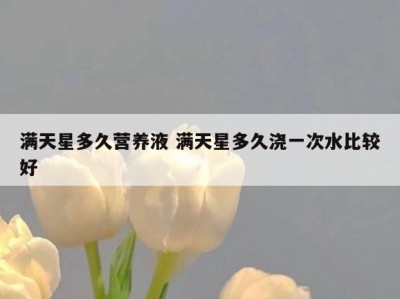 满天星多久营养液 满天星多久浇一次水比较好
