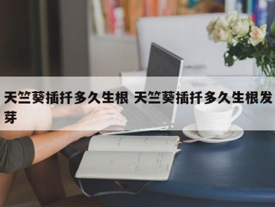 天竺葵插扦多久生根 天竺葵插扦多久生根发芽