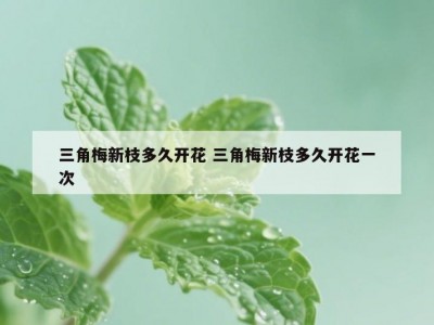 三角梅新枝多久开花 三角梅新枝多久开花一次
