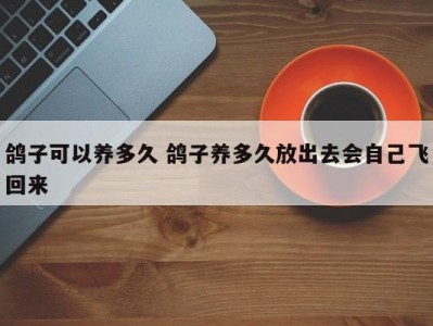 鸽子可以养多久 鸽子养多久放出去会自己飞回来