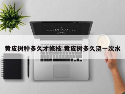 黄皮树种多久才修枝 黄皮树多久浇一次水