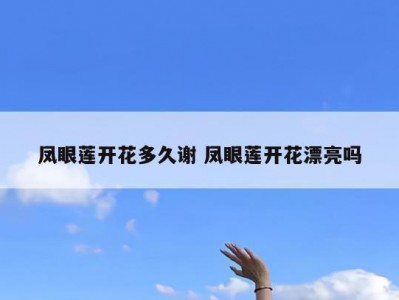 凤眼莲开花多久谢 凤眼莲开花漂亮吗