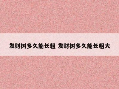发财树多久能长粗 发财树多久能长粗大