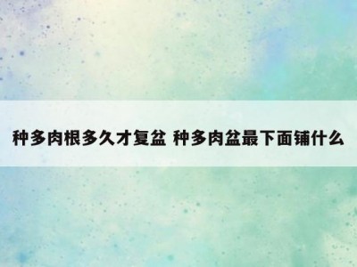 种多肉根多久才复盆 种多肉盆最下面铺什么