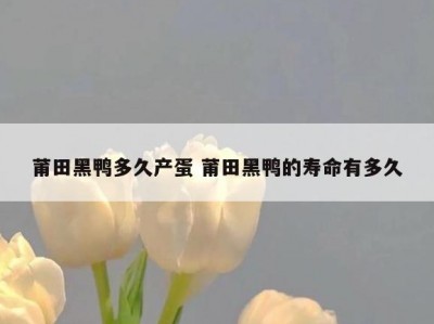 莆田黑鸭多久产蛋 莆田黑鸭的寿命有多久
