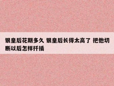 银皇后花期多久 银皇后长得太高了 把他切断以后怎样扦插