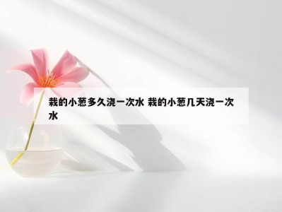 栽的小葱多久浇一次水 栽的小葱几天浇一次水