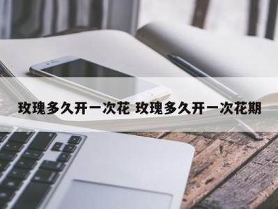 玫瑰多久开一次花 玫瑰多久开一次花期