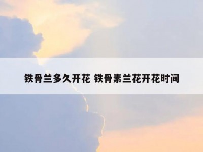 铁骨兰多久开花 铁骨素兰花开花时间