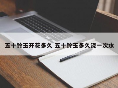 五十铃玉开花多久 五十铃玉多久浇一次水