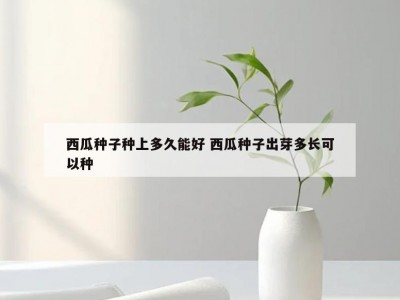 西瓜种子种上多久能好 西瓜种子出芽多长可以种
