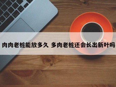 肉肉老桩能放多久 多肉老桩还会长出新叶吗