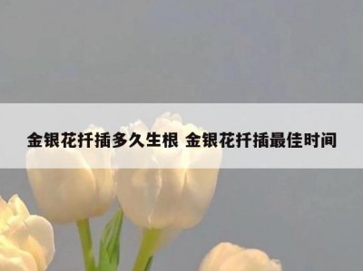 金银花扦插多久生根 金银花扦插最佳时间