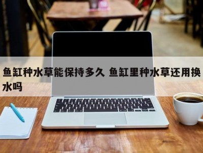 鱼缸种水草能保持多久 鱼缸里种水草还用换水吗