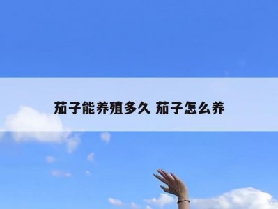 茄子能养殖多久 茄子怎么养