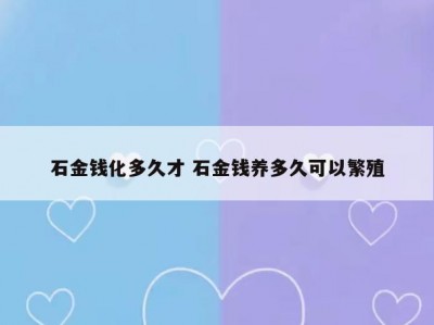 石金钱化多久才 石金钱养多久可以繁殖