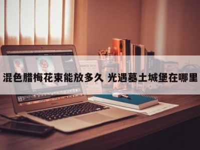混色腊梅花束能放多久 光遇墓土城堡在哪里