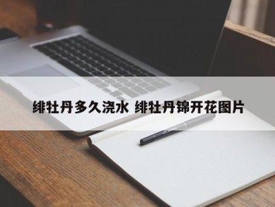 绯牡丹多久浇水 绯牡丹锦开花图片