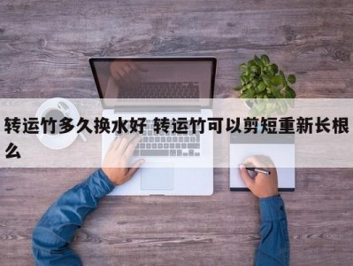 转运竹多久换水好 转运竹可以剪短重新长根么