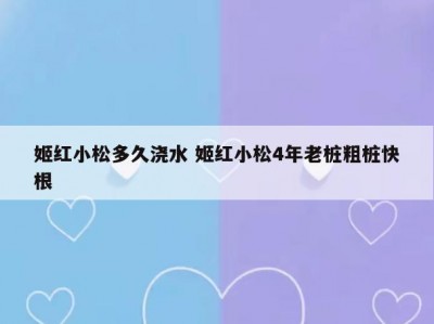 姬红小松多久浇水 姬红小松4年老桩粗桩快根