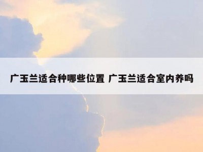 广玉兰适合种哪些位置 广玉兰适合室内养吗