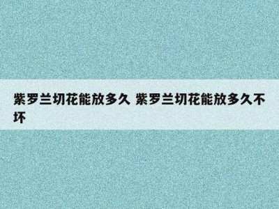 紫罗兰切花能放多久 紫罗兰切花能放多久不坏