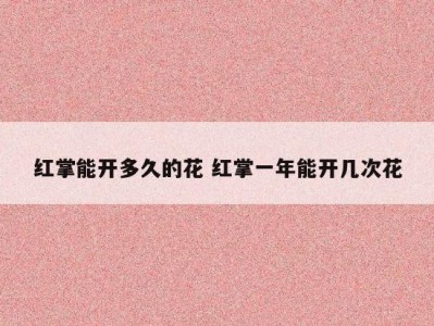红掌能开多久的花 红掌一年能开几次花