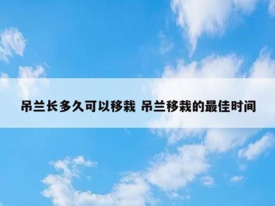 吊兰长多久可以移栽 吊兰移栽的最佳时间