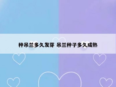 种吊兰多久发芽 吊兰种子多久成熟