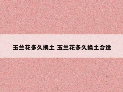 玉兰花多久换土 玉兰花多久换土合适