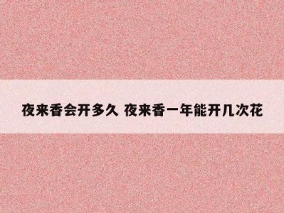 夜来香会开多久 夜来香一年能开几次花