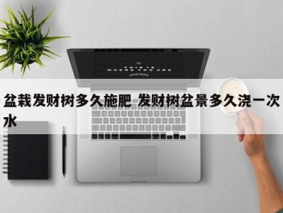 盆栽发财树多久施肥 发财树盆景多久浇一次水