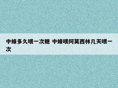 中蜂多久喂一次糖 中蜂喂阿莫西林几天喂一次