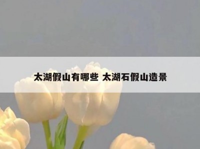 太湖假山有哪些 太湖石假山造景