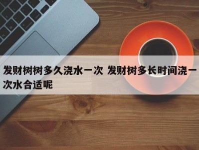 发财树树多久浇水一次 发财树多长时间浇一次水合适呢