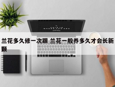 兰花多久修一次跟 兰花一般养多久才会长新颗