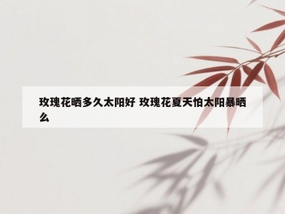 玫瑰花晒多久太阳好 玫瑰花夏天怕太阳暴晒么