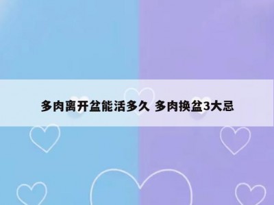 多肉离开盆能活多久 多肉换盆3大忌