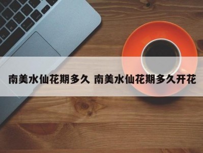 南美水仙花期多久 南美水仙花期多久开花
