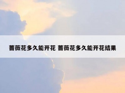 蔷薇花多久能开花 蔷薇花多久能开花结果