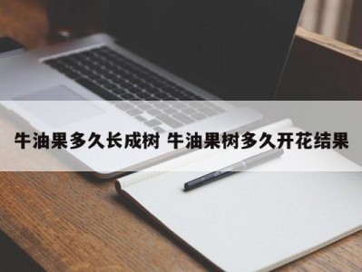 牛油果多久长成树 牛油果树多久开花结果