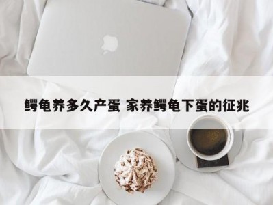 鳄龟养多久产蛋 家养鳄龟下蛋的征兆