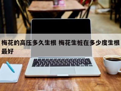 梅花的高压多久生根 梅花生桩在多少度生根最好
