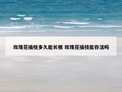 玫瑰花插枝多久能长根 玫瑰花插枝能存活吗