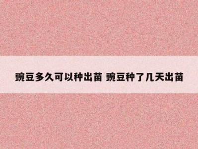 豌豆多久可以种出苗 豌豆种了几天出苗