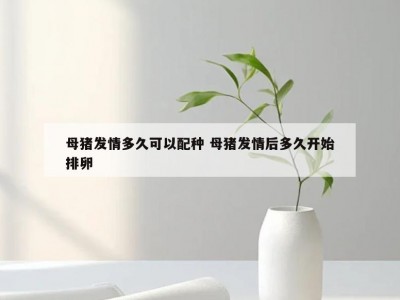 母猪发情多久可以配种 母猪发情后多久开始排卵