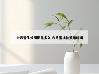 六月雪生长周期是多久 六月雪插枝繁殖时间