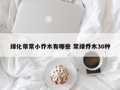 绿化带常小乔木有哪些 常绿乔木30种
