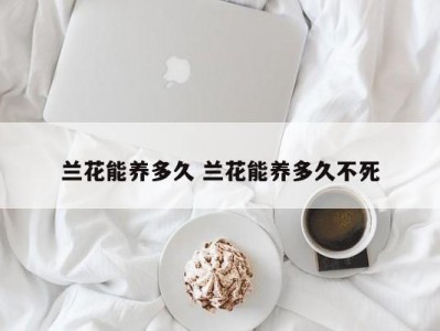 兰花能养多久 兰花能养多久不死